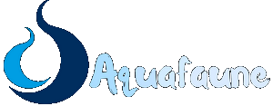 Aquafaune